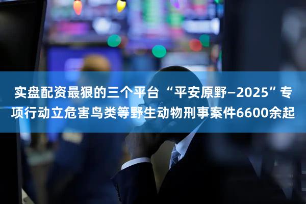 实盘配资最狠的三个平台 “平安原野—2025”专项行动立危害鸟类等野生动物刑事案件6600余起